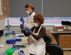 Two interns in a laboratory pipette DNA samples into new containers.