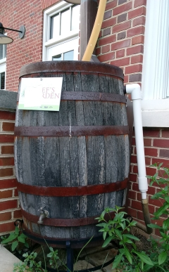 Rain Barrel