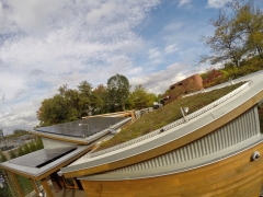 photo of WaterShed green roof