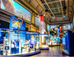 photo of Sant Ocean Hall, Smithsonian National Museum of Natural History