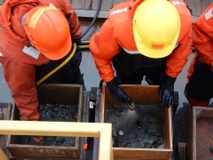 Seaching benthic samples for specimens