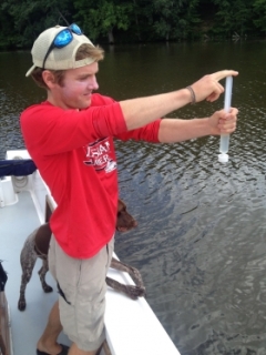 sampling for chlorophyll concentration