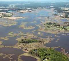 aerial view of Newport Bay, a Delmarva coastal bay