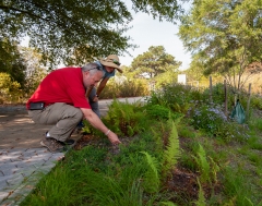 Maryland Sea Grant Extension Specialist Eric Buehl with Kathy Thornton, the arboretum’s land steward.