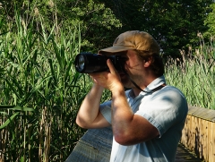 Image of photographer photographing something to the left of the frame. He is standing on a wooden bridge. Tall marsh plants in the foreground and trees in the background.