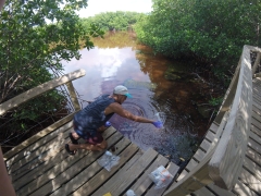 Juan Alvarez examines water in Puerto Rico's bays. Photograph courtesy of Juan Alvarez