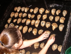 Stephanie Alexander placing oysters on a spawning table.