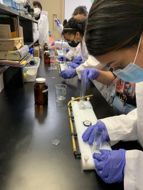 students doing research