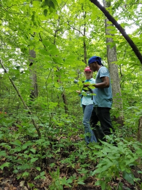 Two people stand in a forest holding monitoring equipment