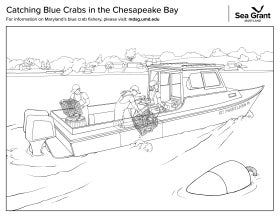 A coloring page of crabbers on a boat pulling up crab pots