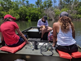 Patricia N. Vidal Geraldino (center) records data from Laguna Grande samples during a 2018 workshop and field study while Génesis López Santana (L) and Shakira Gómez Arias (R) continue water monitoring. Credit: Mike Allen / MDSG