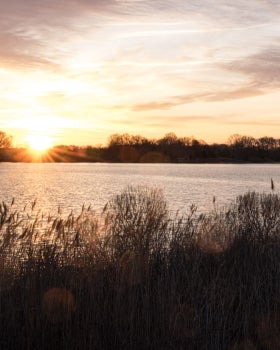 A winter sunset over the Wye River, with marsh grasses in the foreground