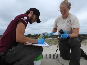 MCC Crew Leader Erin Swale (right) works with MCC member Derek Cross to record the location and details of a foil “Happy Birthday” balloon found on a dune on Assateague Island. Photo credit: Wendy Mitman Clarke / MDSG