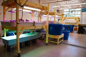 Two fish tanks are connected via pipes to wooden stands containing plants above them in a warehouse room.