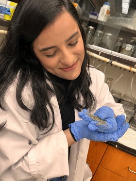 A woman in lab coat and gloves holding a small blue crab