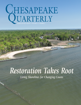 aerial view of bay shoreline with beach and trees