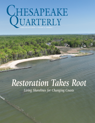 aerial view of bay shoreline with beach and trees
