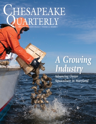 A waterman dumping oyster shells into Chesapeake Bay off of their boat.