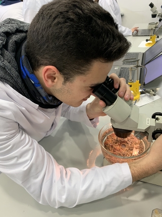 A student at the Daina-Isard School in Barcelona using a microscope to examine a disc containing a biofilm community of various plants and animals.