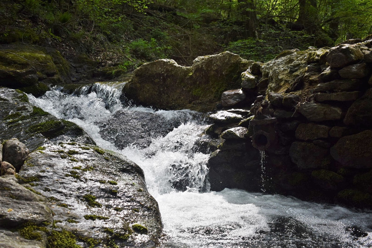 Water splashing over a 7-10 foot waterfall with tress in the background.