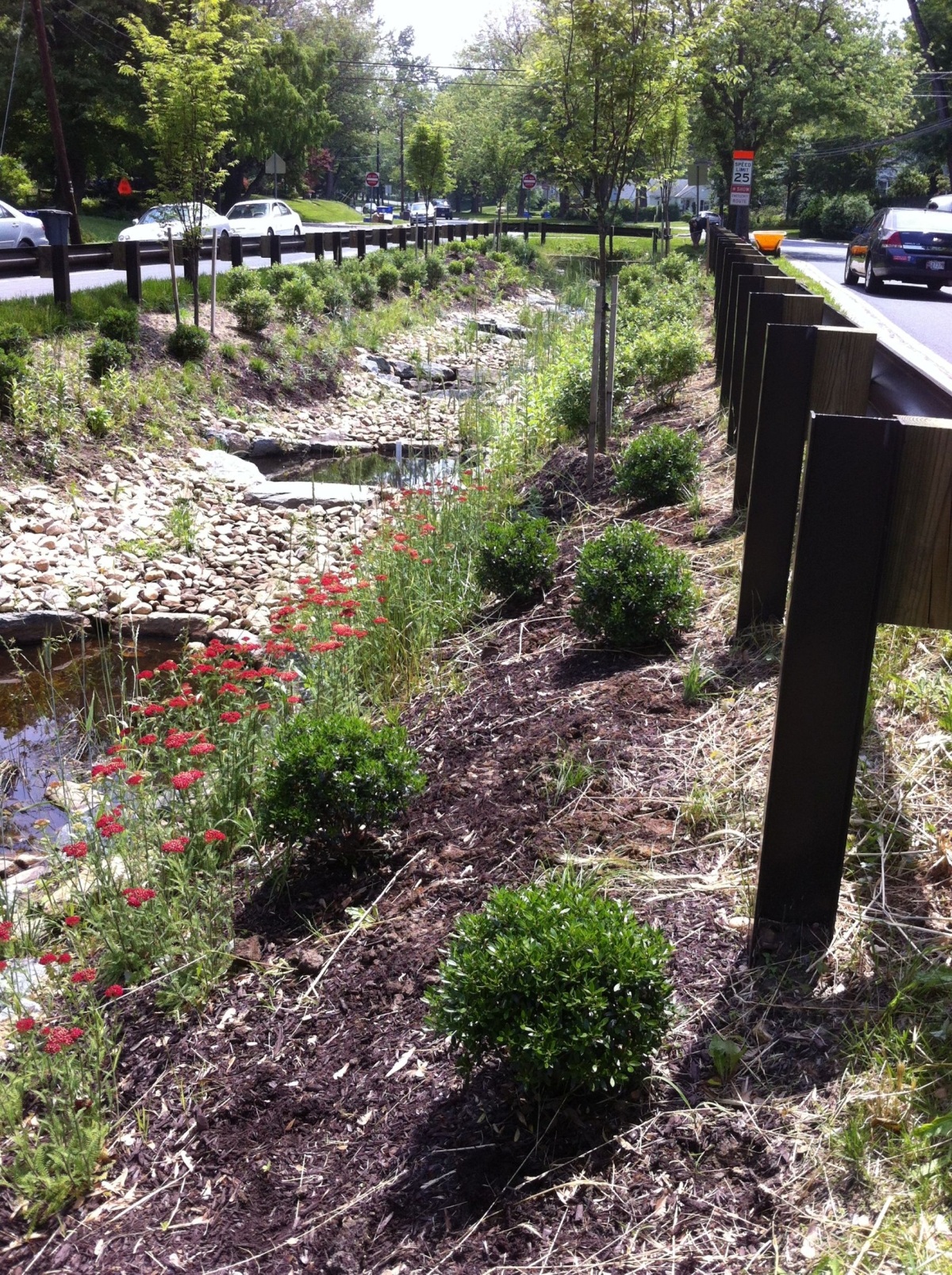 An area between two roads that has a garden and gravel interspersed with small pools for rainwater retention