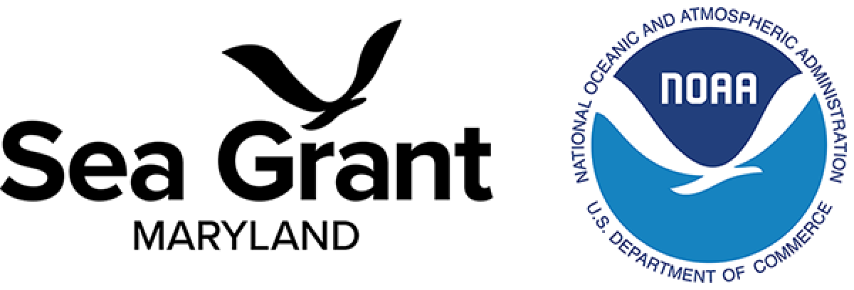MDSG logo