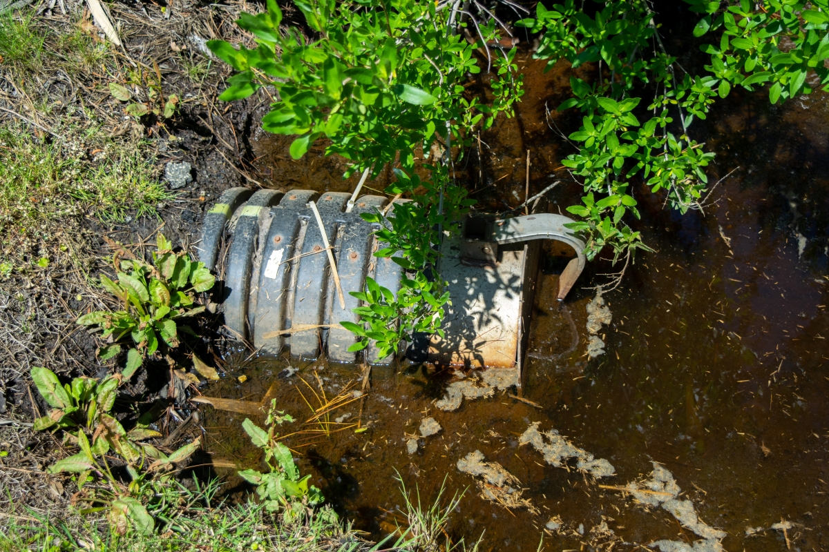 A floodgate and pipe sit in murky ditch water.