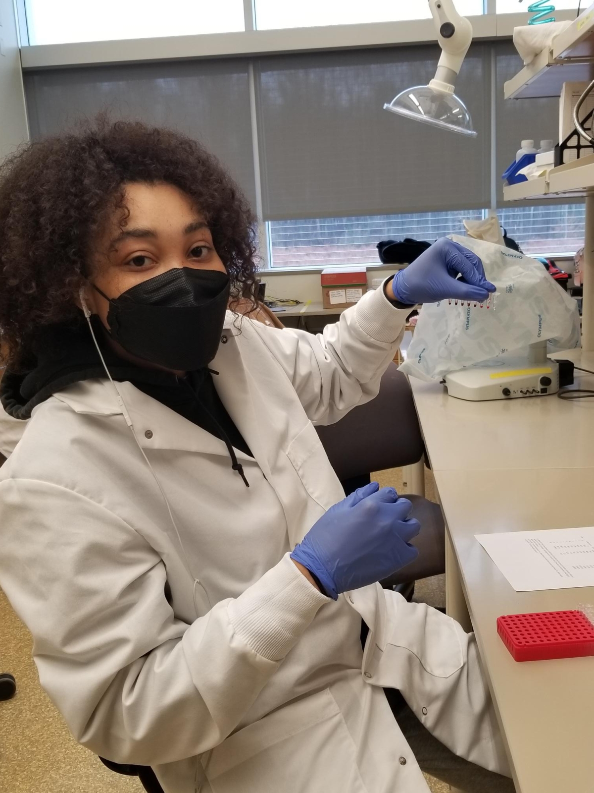 A student in a laboratory pipettes a DNA sample into a new container.