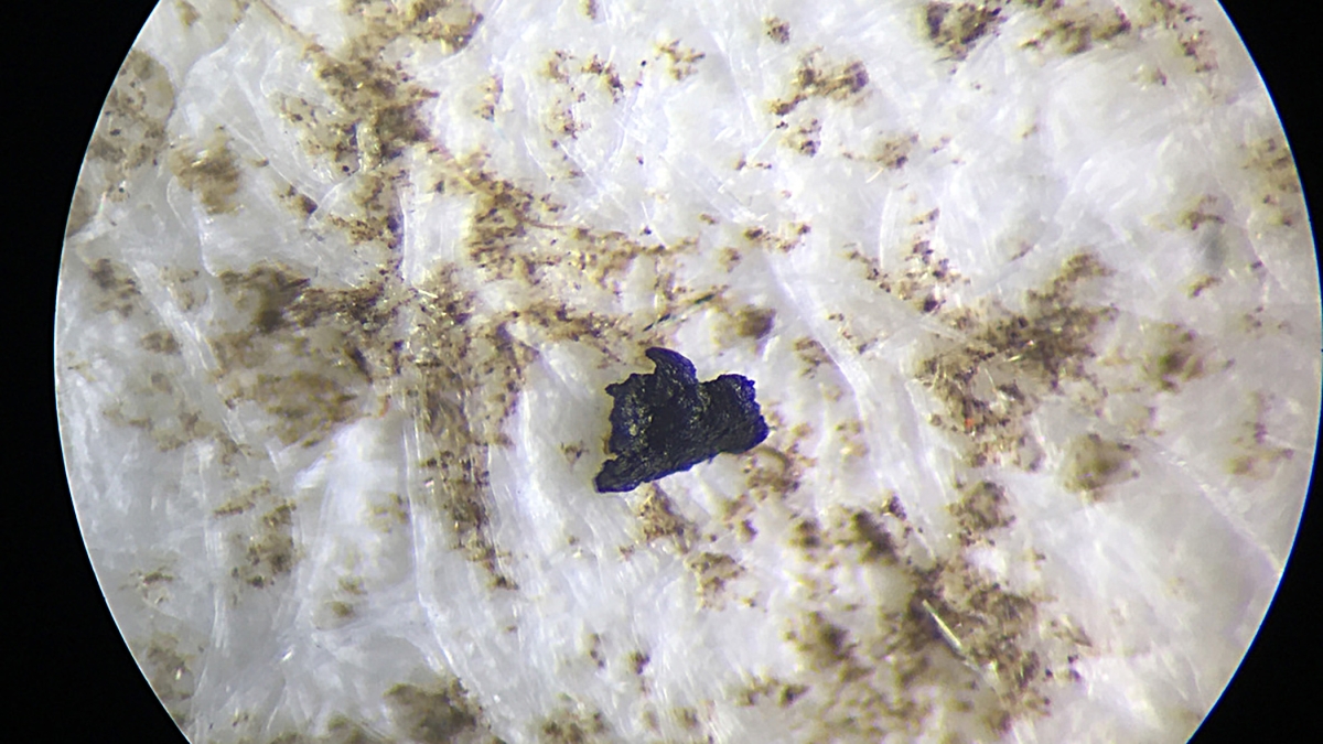 A piece of microplastic viewed under a microscope