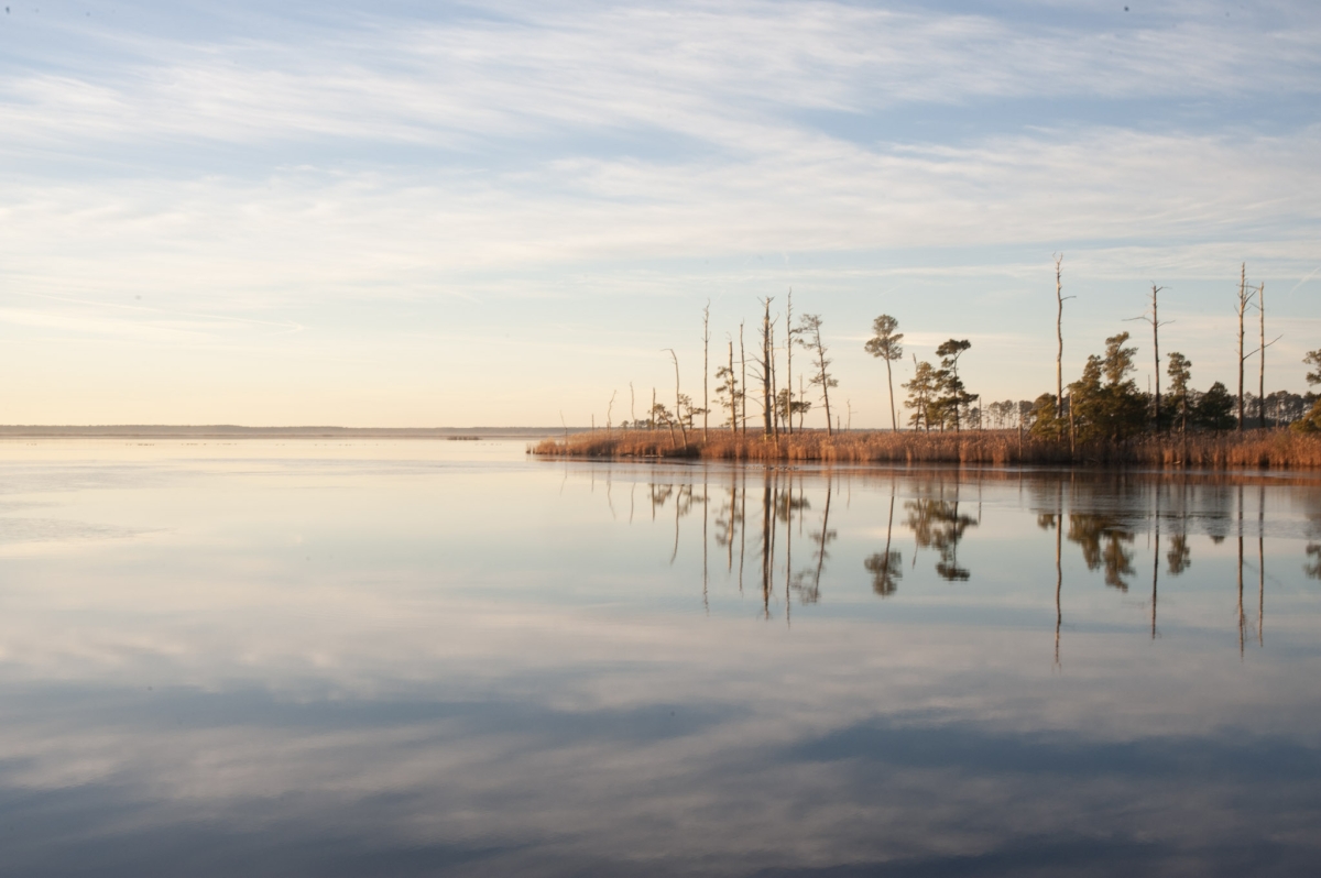 Clear water in a marsh reflects wispy clouds in the sky. Trees bare of leaves and branches can be seen in the distance on a peninsula jutting into the water