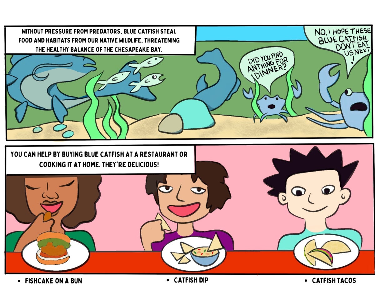 page two of a comic strip about blue catfish in the Chesapeake Bay