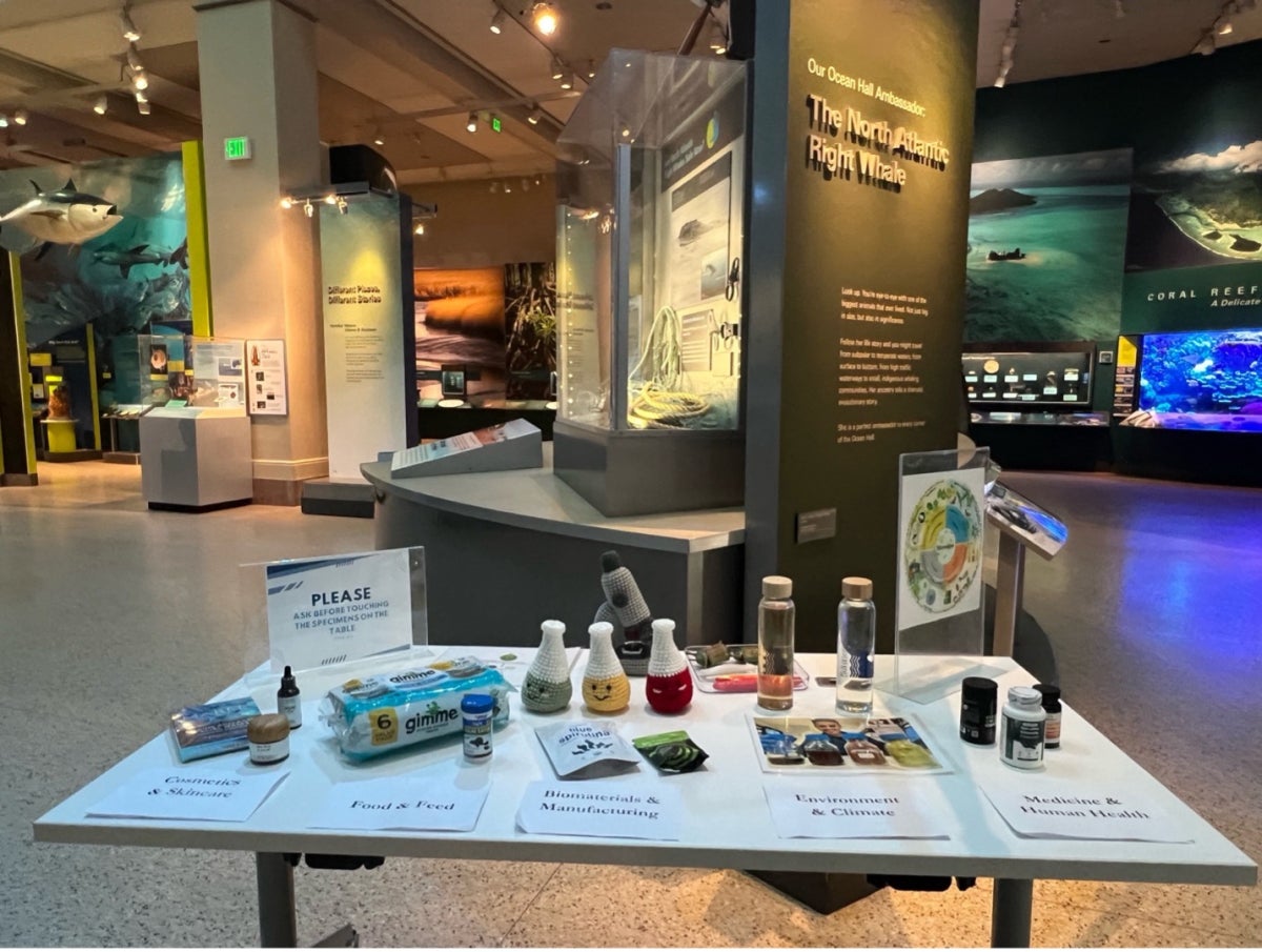 A table positioned in the Natural History Museum's Sant Ocean Hall holds a variety of objects derived from or related to microalgae 