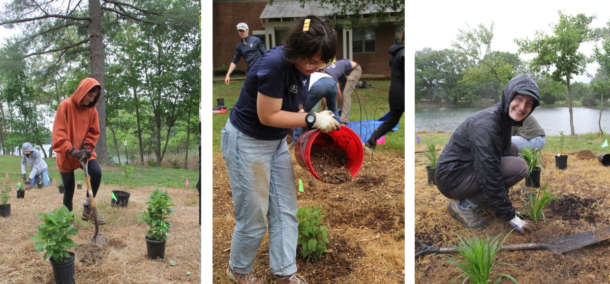 Young volunteers dig holes for plants, pour mulch, and plant young plants in a freshly dug garden in the rain