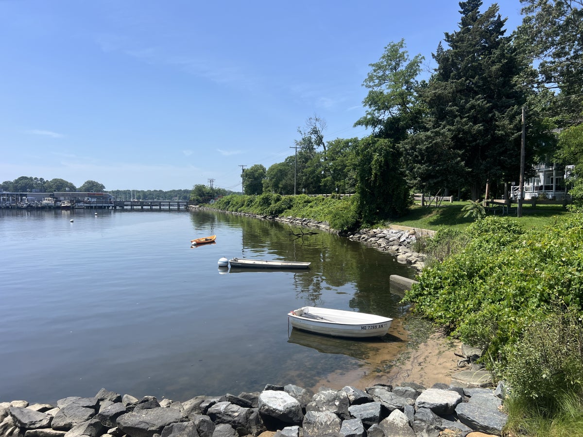 A few small boats float anchored along a grassy shoreline with a pier in the distance