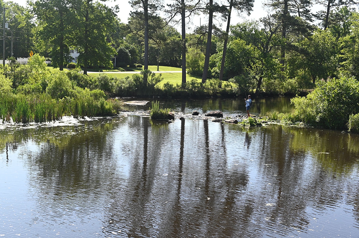 Image of a pond in the foreground with trees and bushes in the back (along the shoreline)