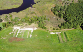 Swaths of dead zones seen in a field from an arial viewpoint.