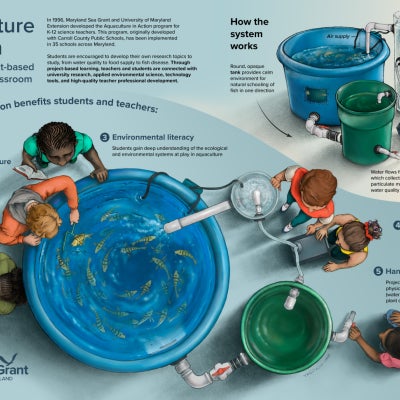 An illustration of an aquaculture fish tank with students around it, as seen from above.