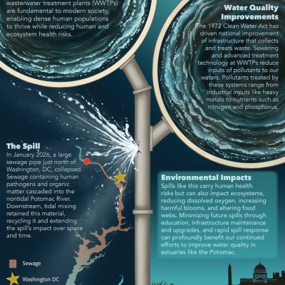 An illustration created to demonstrate the importance of wastewater infrastructure in light of the catastrophic sewer pipe collapse that sent untreated human waste into the Potomac River. 