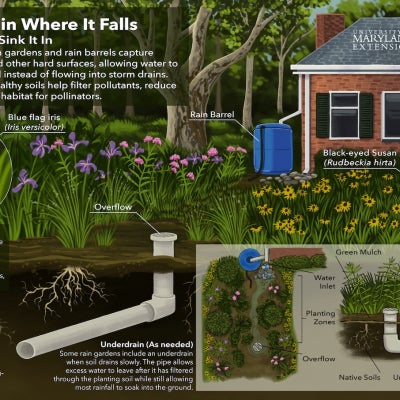 A colorful poster explains the importance of rain garden practices in containing runoff, including rain barrels and native plants.