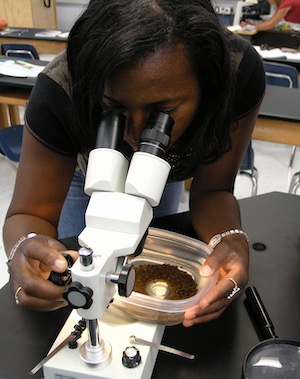 Teacher looking at biofilm in microscope
