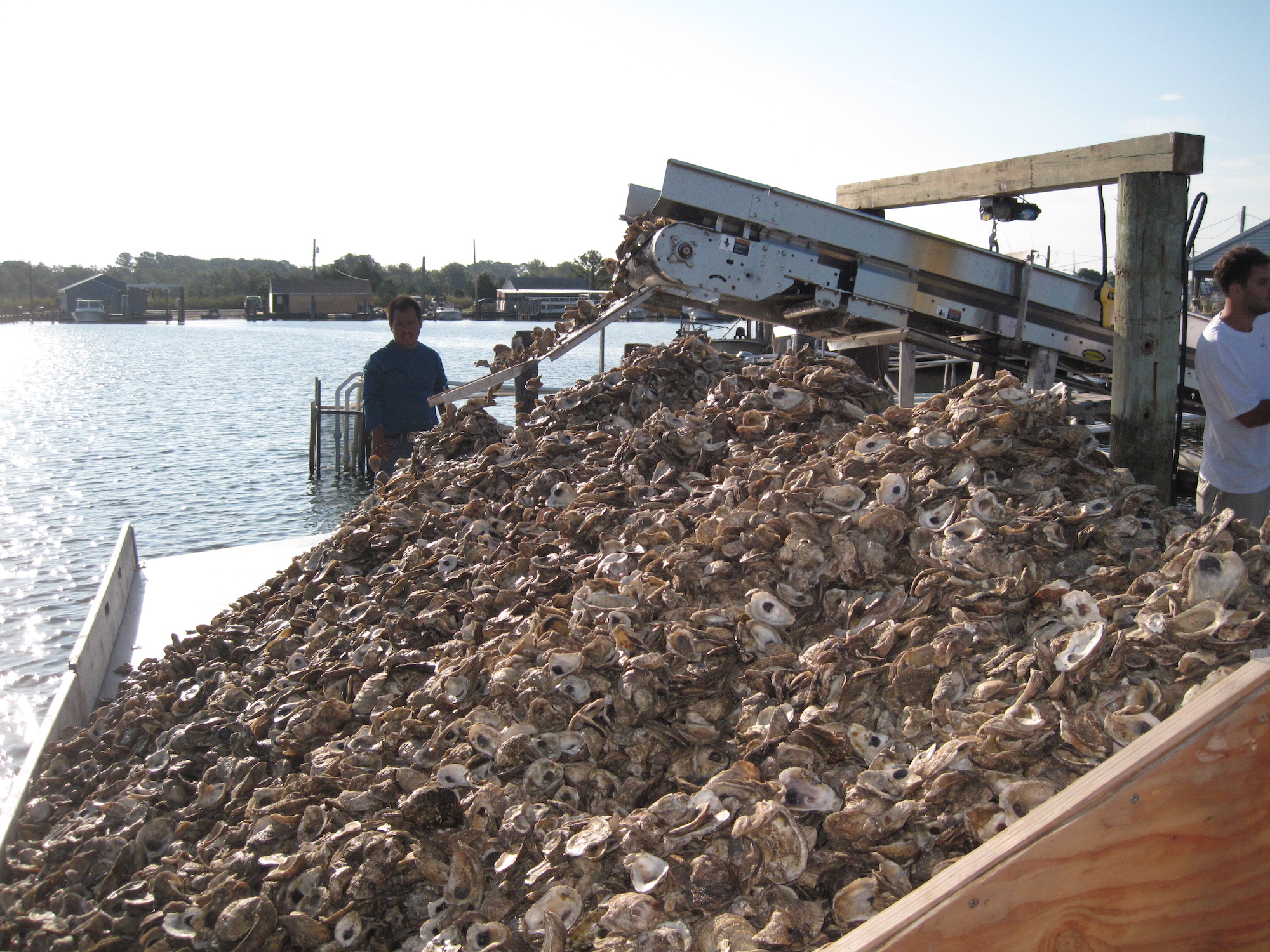 Aquaculture